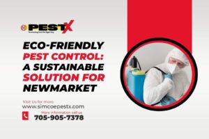 Eco-Friendly Pest Control