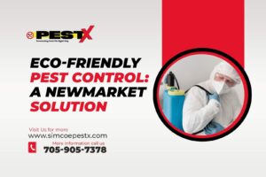 Eco-Friendly Pest Control