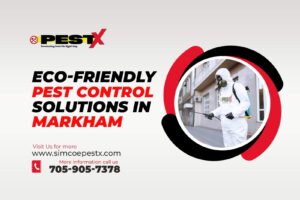 Eco-Friendly Pest Control Solutions