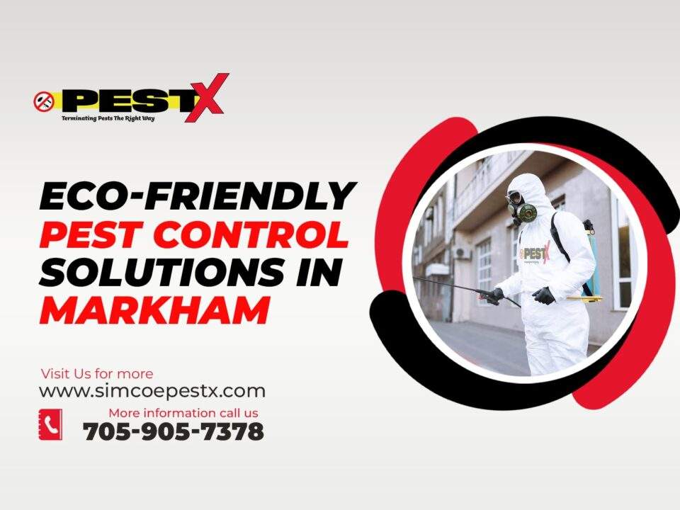 Eco-Friendly Pest Control Solutions