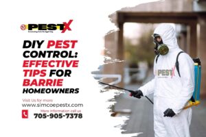 Effective Tips for Barrie Homeowners