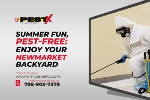 Enjoy Your Newmarket Backyard