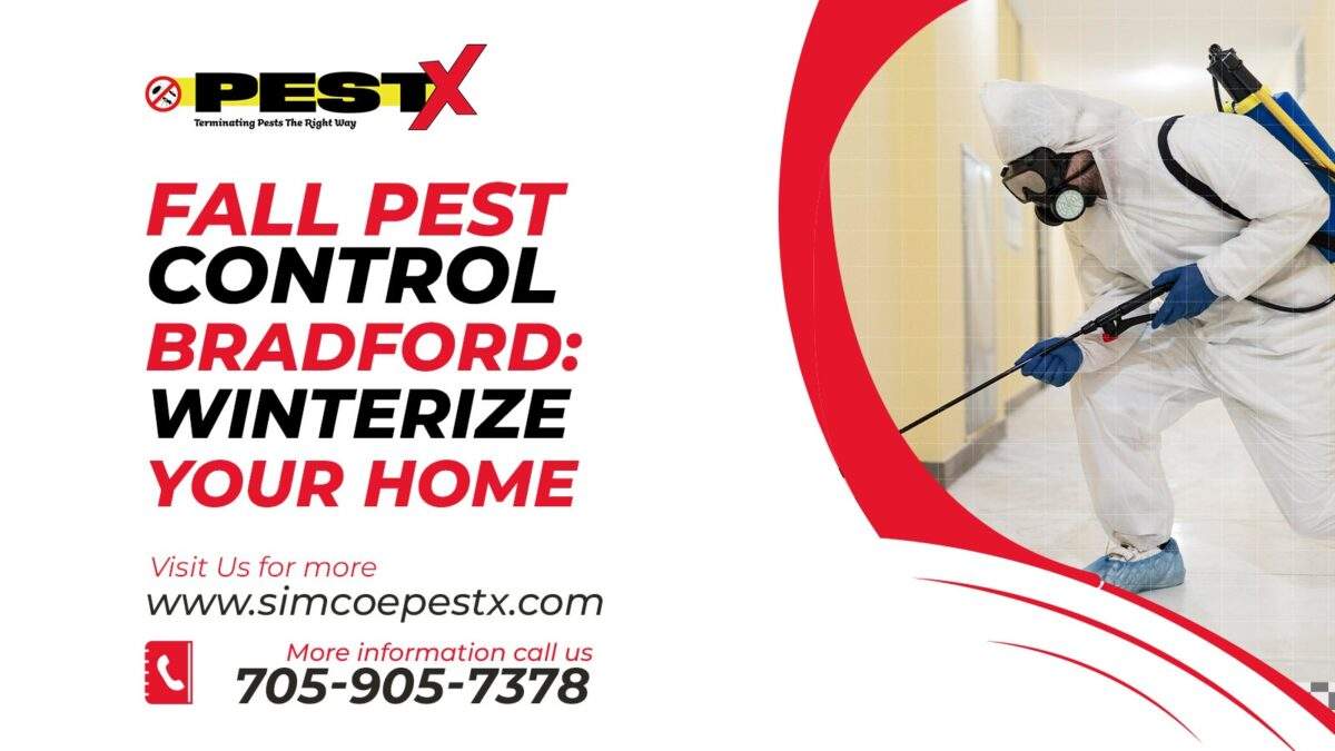 Fall Pest Control Bradford