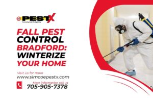Fall Pest Control Bradford