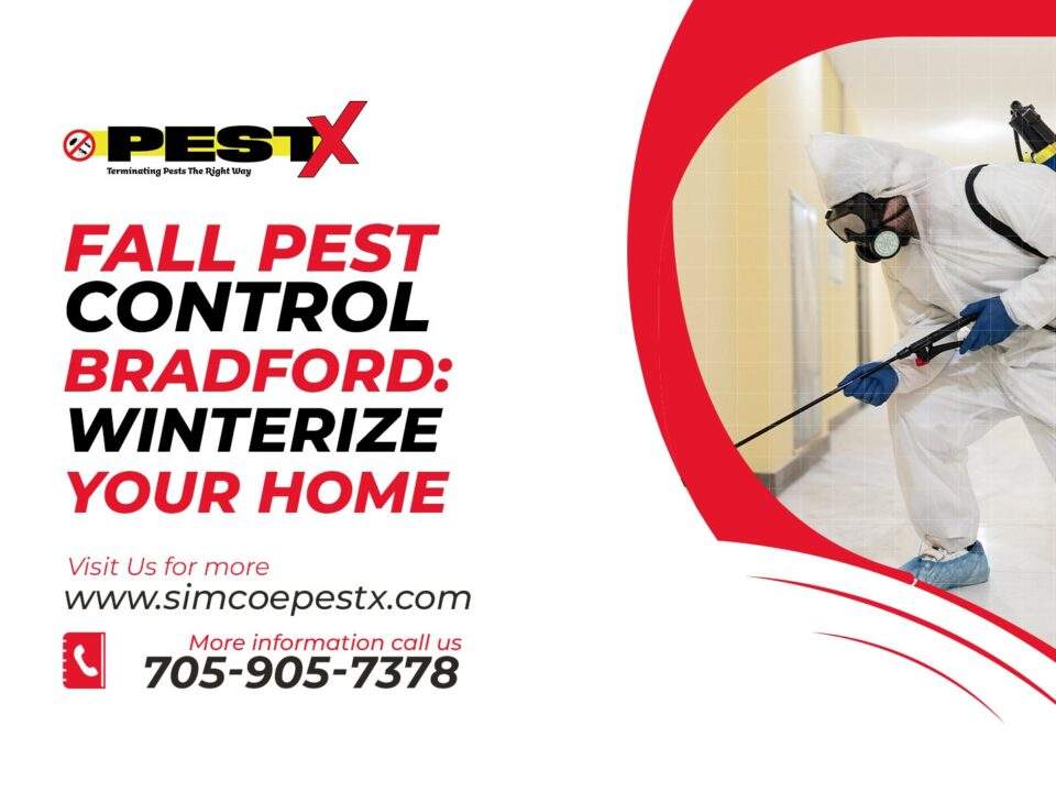 Fall Pest Control Bradford