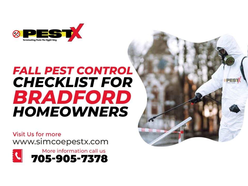 Fall Pest Control Checklist