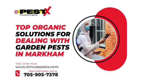 Garden Pests in Markham