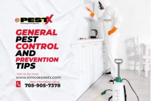 General Pest Control