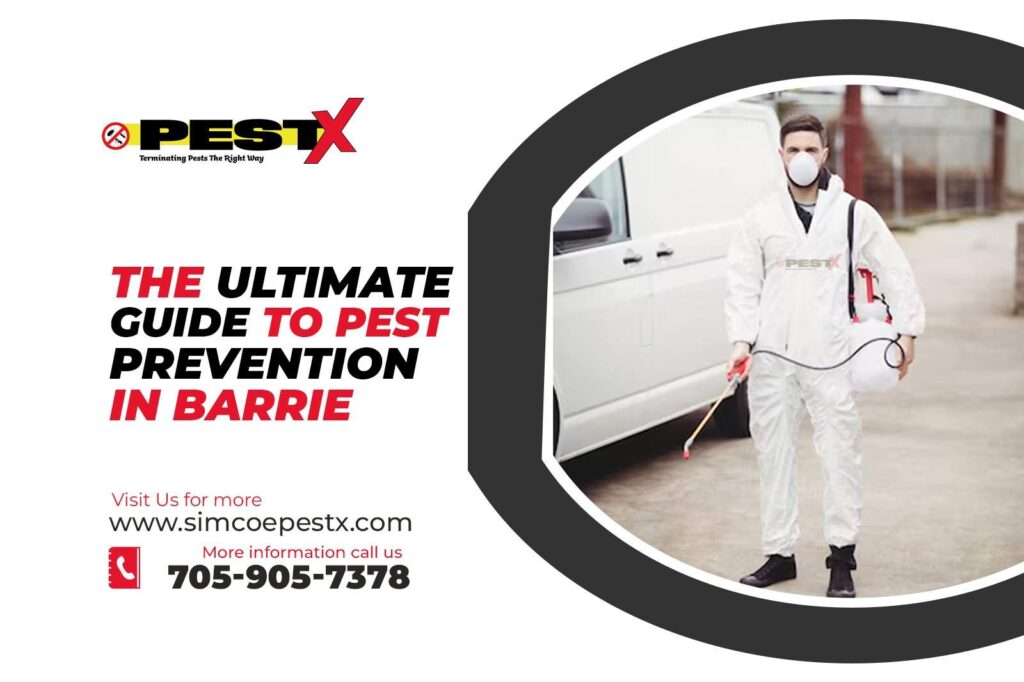 Current image: Guide to Pest Prevention in Barrie