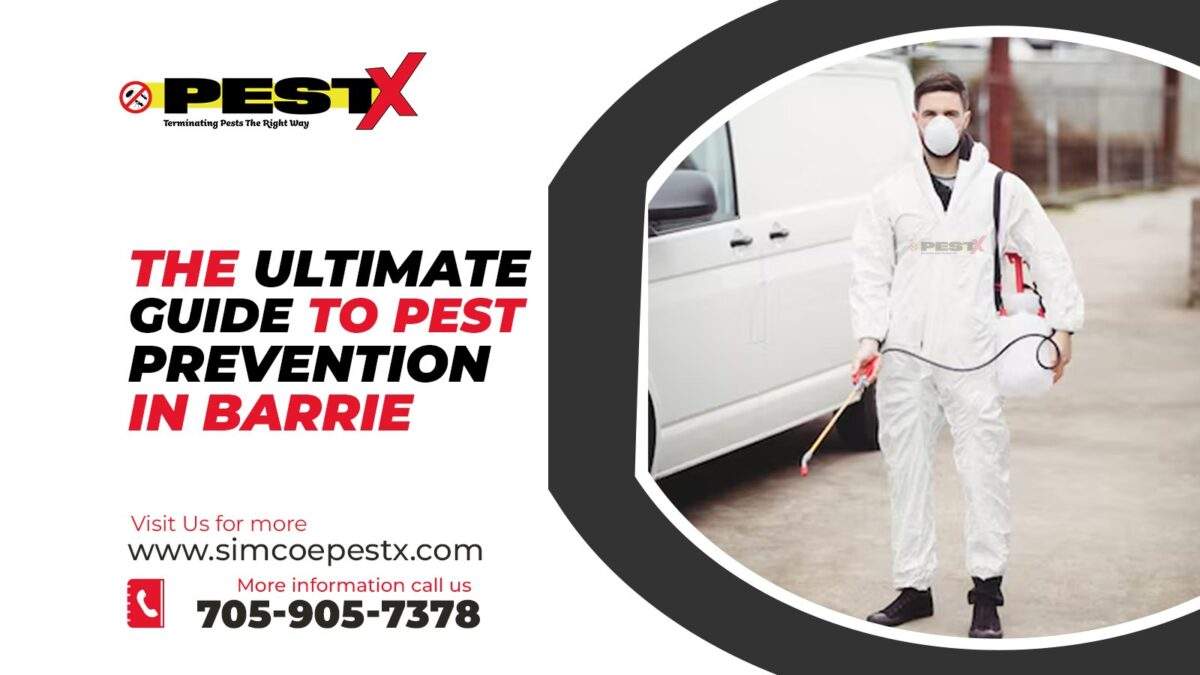 Guide to Pest Prevention in Barrie