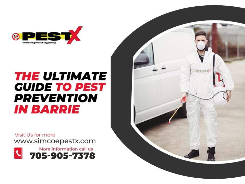 Guide to Pest Prevention in Barrie