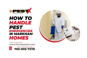 Handle Pest Emergencies