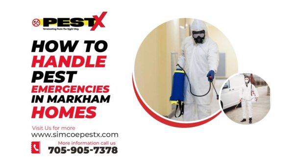 Handle Pest Emergencies