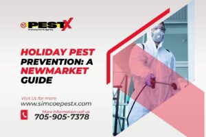 Holiday Pest Prevention