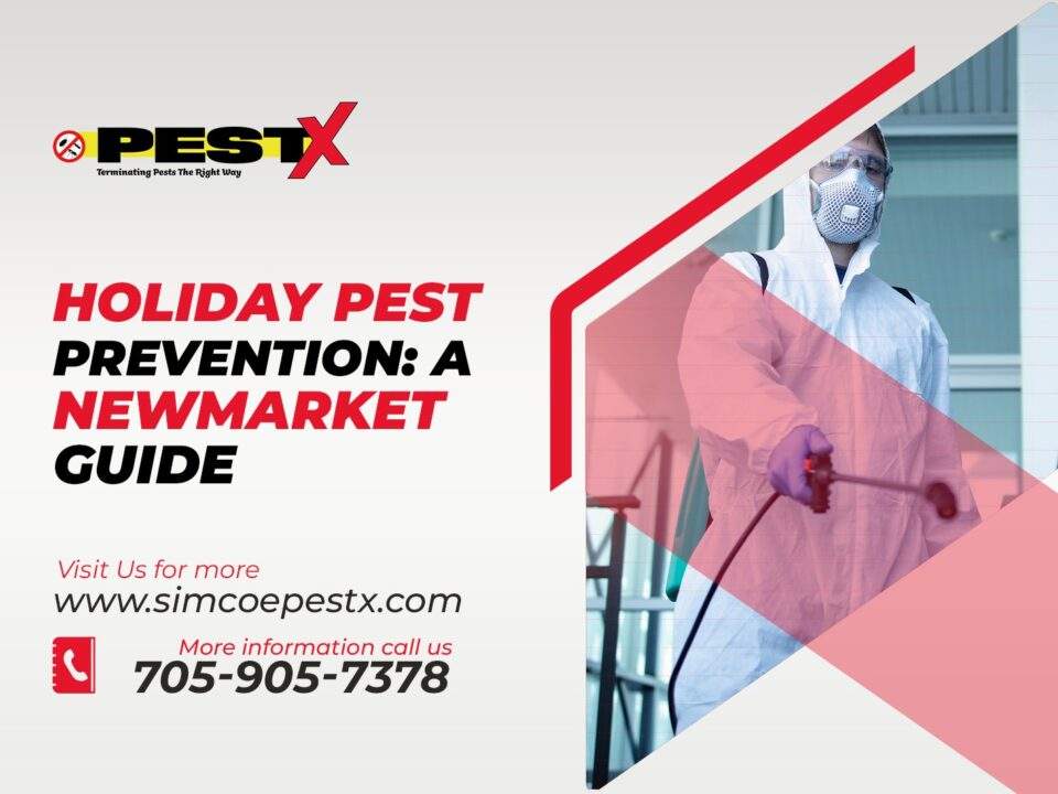 Holiday Pest Prevention