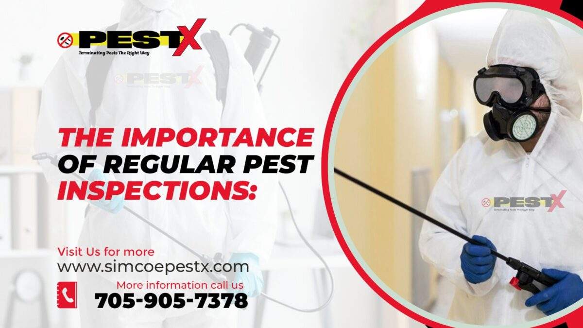 Importance of Regular Pest Inspections