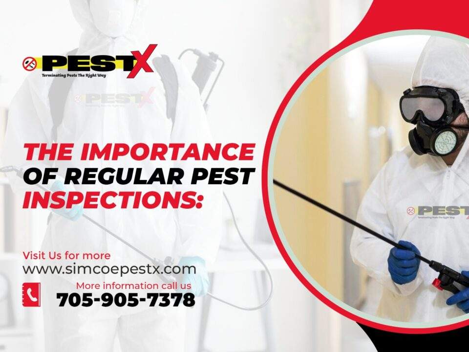 Importance of Regular Pest Inspections