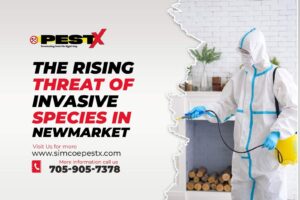 Invasive Species in Newmarket