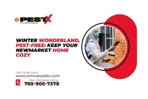 Keep Your Newmarket Home Cozy