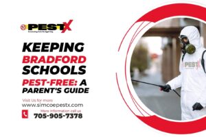 Keeping Bradford Schools Pest-Free