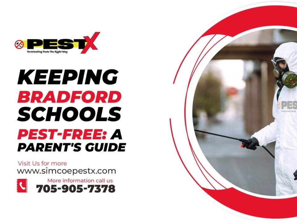 Keeping Bradford Schools Pest-Free