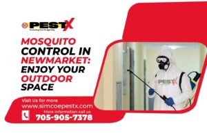 Mosquito Control in Newmarket