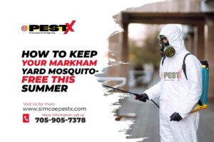 Mosquito-Free This Summer
