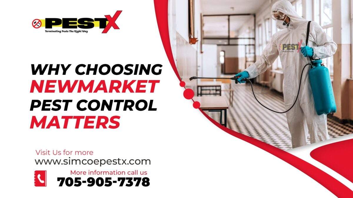 Newmarket Pest Control Matters