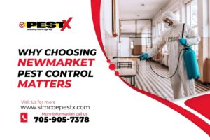 Newmarket Pest Control Matters