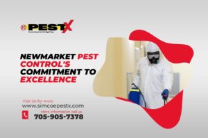 Newmarket Pest Control's Commitment