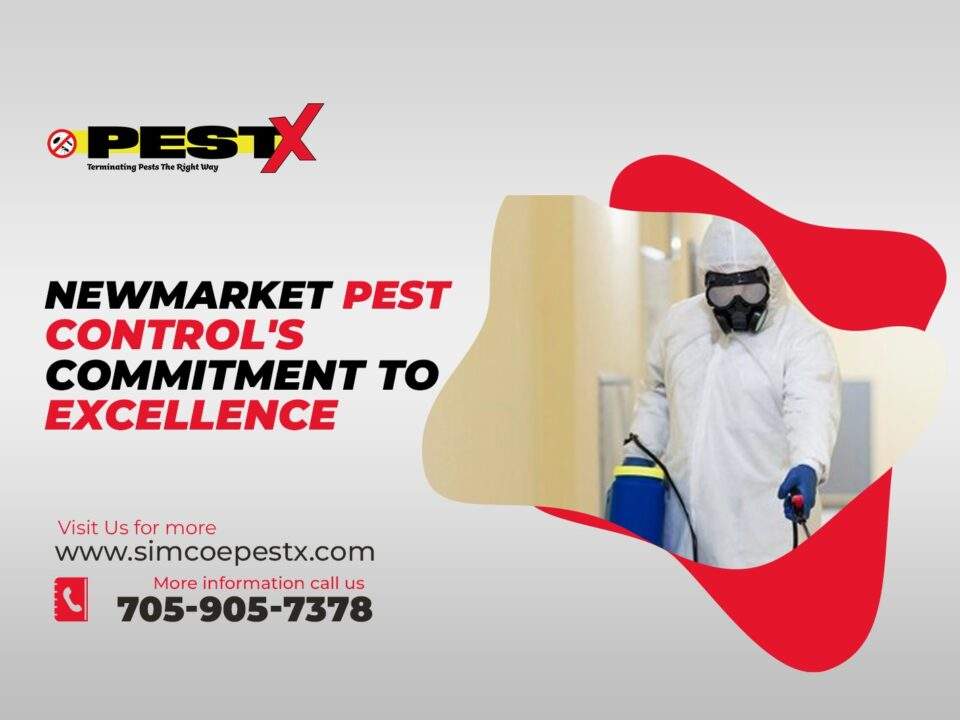 Newmarket Pest Control's Commitment