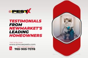 Newmarket's Leading Homeowners