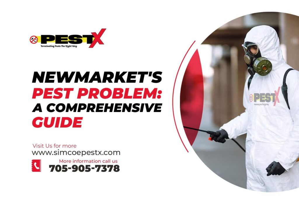 Current image: Newmarket's Pest Problem