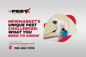 Newmarket's Unique Pest Challenges