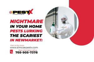 Nightmare in Newmarket