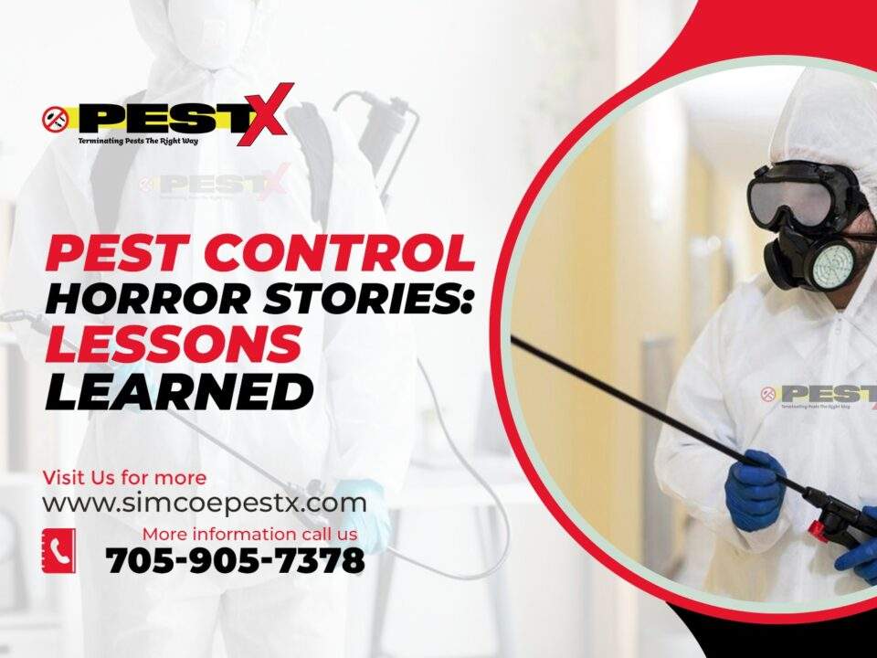 Pest Control Horror Stories