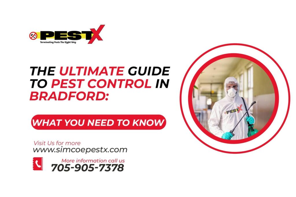 Pest Control In Bradford