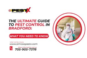 Pest Control In Bradford