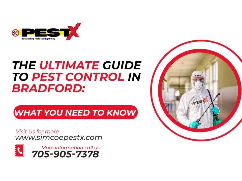 Pest Control In Bradford