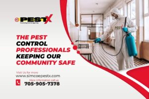 Pest Control Professionals Keeping