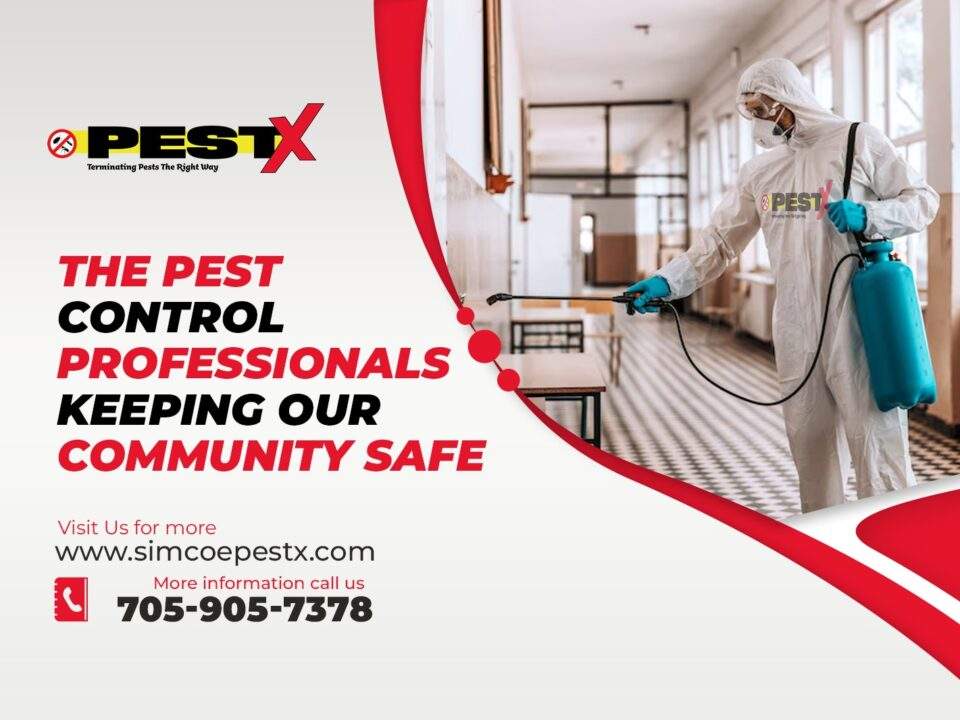 Pest Control Professionals Keeping