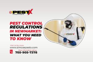Pest Control Regulations in Newmarket