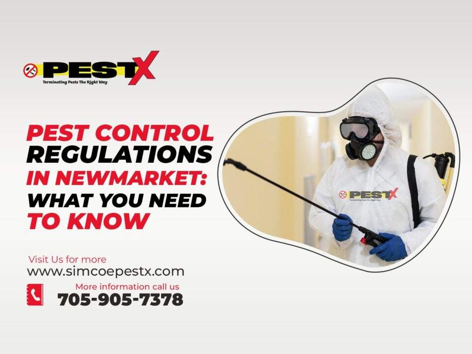 Pest Control Regulations in Newmarket