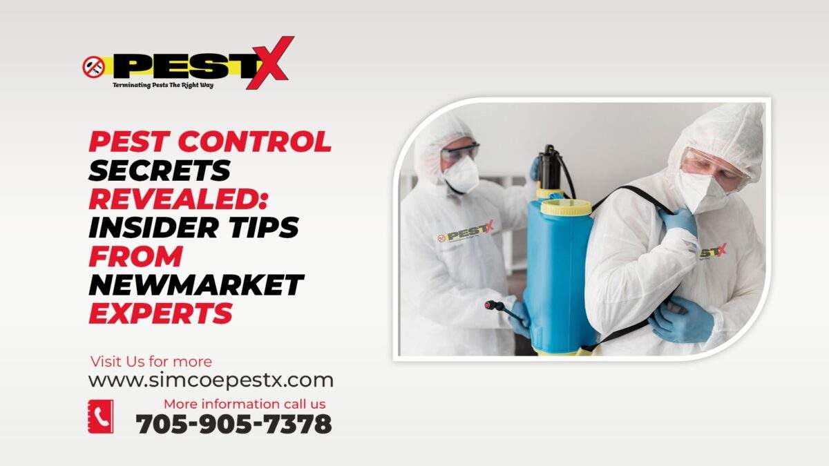 Pest Control Secrets Revealed