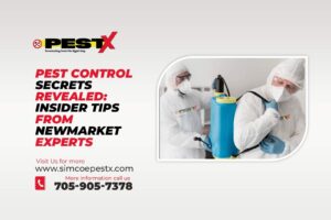Pest Control Secrets Revealed