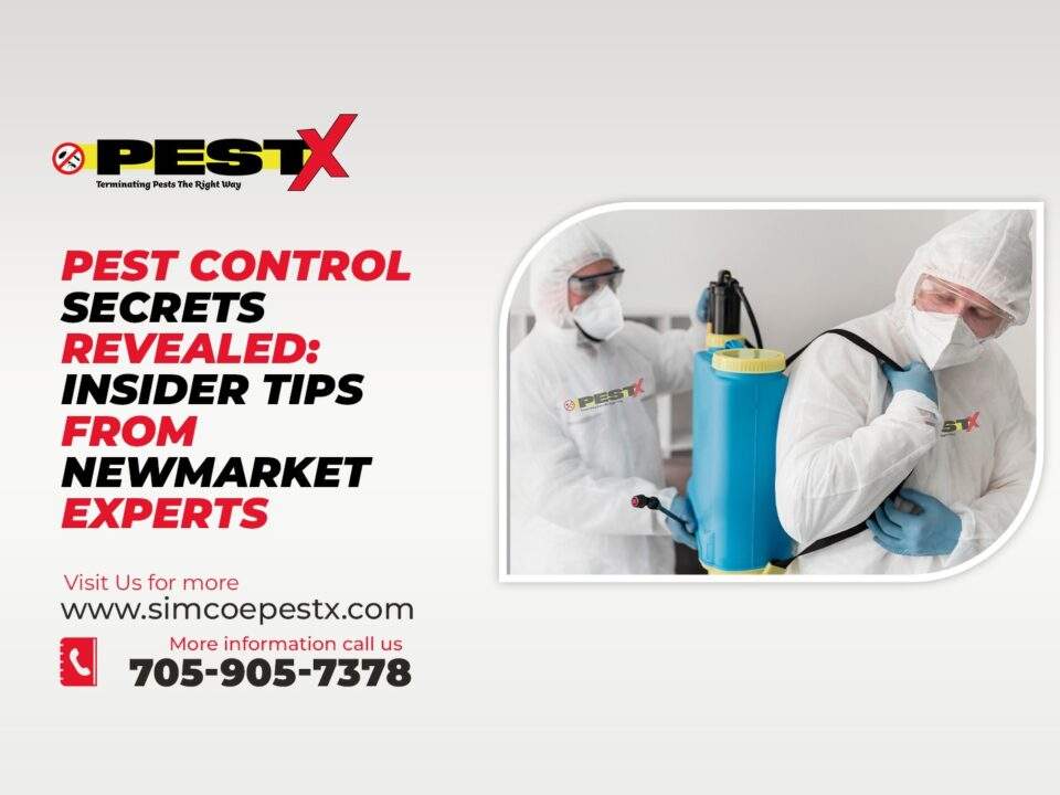 Pest Control Secrets Revealed