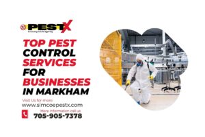 Pest Control Services