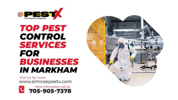 Pest Control Services
