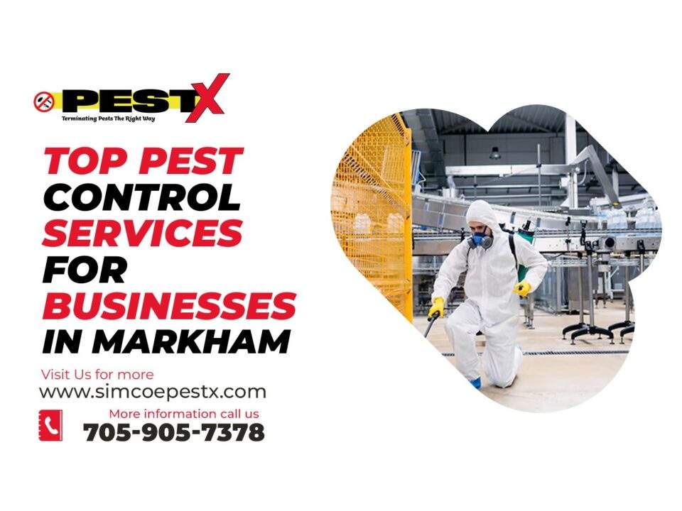 Pest Control Services