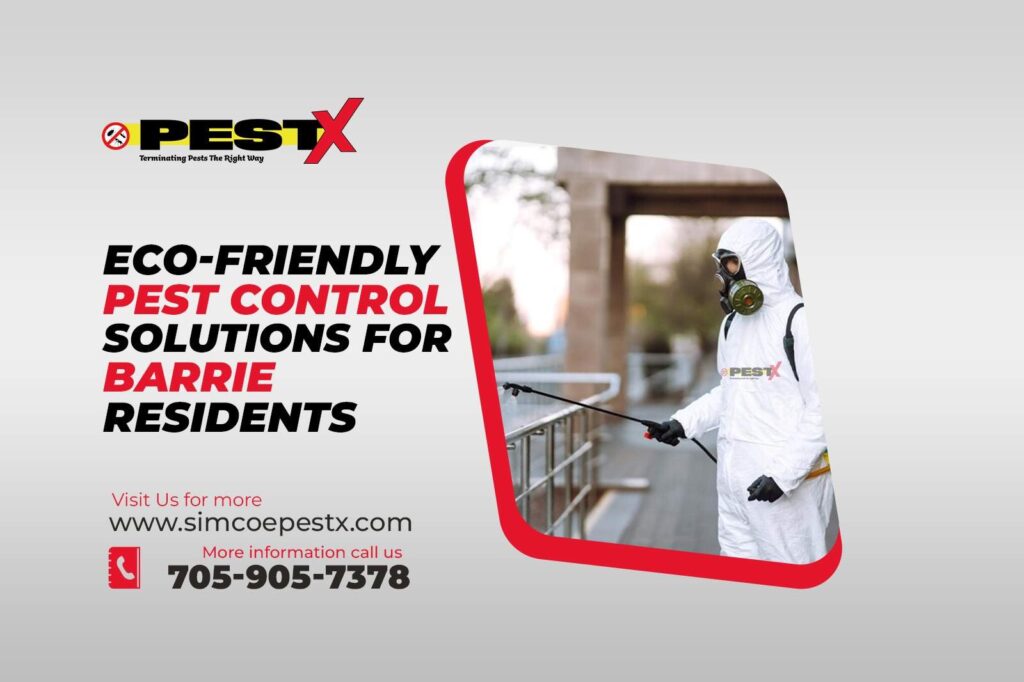 Current image: Pest Control Solutions for Barrie Residents